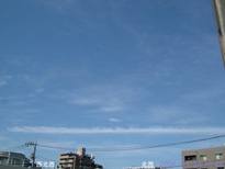 in Tokyo 2006.9.28 10:48 k (enlarg. 76)