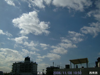 in Tokyo 2006.11.8 10:50 쐼 (enlarg. 39)