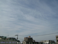in Tokyo 2006.11.29 12:11 k (enlarg. 38)