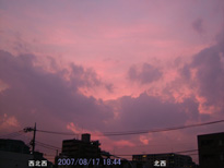 in Tokyo 2007.8.17 18:44 k (enlarg. 54)