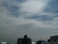 in Tokyo 2007.8.17 13:21 쐼 (enlarg. 91)