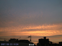 in Tokyo 2007.8.23 18:24 k (enlarg. 42)