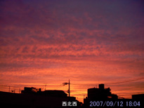 in Tokyo 2007.9.12 18:04 k (enlarg. 09)