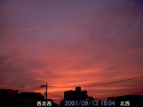 in Tokyo 2007.9.13 18:04  (enlarg. 70)