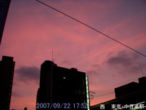 in Tokyo 2007.9.22 17:52  (enlarg. 71)