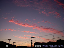 in Tokyo 2007.10.6 05:29 쓌 (enlarg. 18)