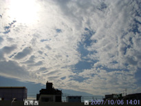 in Tokyo 2007.10.6 14:01  (enlarg. 51)