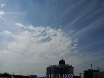 in Tokyo 2007.10.17 10:03 쐼 (enlarg. 44)