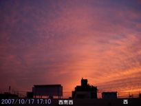 in Tokyo 2007.10.17 17:10 쐼 (enlarg. 55)
