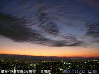 in Tokyo 2007.11.23 17:06 쐼 (enlarg. 12)