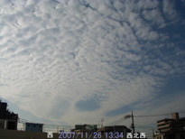 in Tokyo 2007.11.26 13:34  (enlarg. 10)