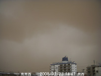 in Tokyo 2008.2.23 14:47 쐼 (enlarg. 28)