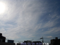 in Tokyo 2008.3.9 14:54  (enlarg. 82)