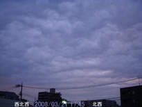 in Tokyo 2008.3.21 17:45 k (enlarg. 85)