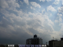 in Tokyo 2008.3.25 14:29 쐼 (enlarg. 02)