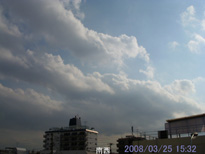 in Tokyo 2008.3.25 15:32 쐼 (enlarg. 05)