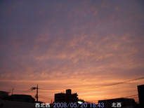 in Tokyo 2008.5.20 18:43 k (enlarg. 62)