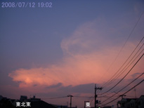 in Tokyo 2008.7.12 19:02  (enlarg. 53)