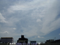 in Tokyo 2008.7.23 13:58  (enlarg. 66)