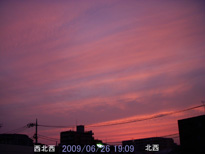 in Tokyo 2009.6.26 19:09 k-k (enlarg. 95)