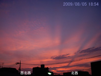 in Tokyo 2009.8.5 18:54 k-k (enlarg. 26)