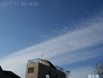 in Tokyo 2011.12.9 14:25  (enlarg. 10)