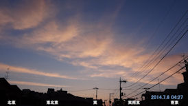 in Tokyo 2014.7.6 04:27  Ă uԏĂہvl (enlarg. 40)