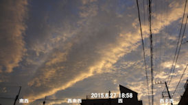in Tokyo 2015.6.27 18:58 яO_(쐼-k)ƘaAO_ (enlarg. 23)