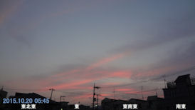 in Tokyo 2015.10.20 05:45   Ă uԏĂہv(enlarg. 68)